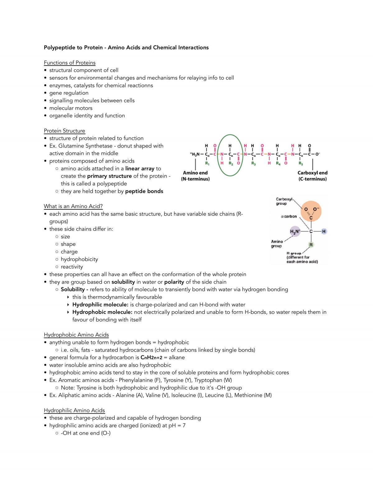 Complete Cell Biology Notes - Page 1