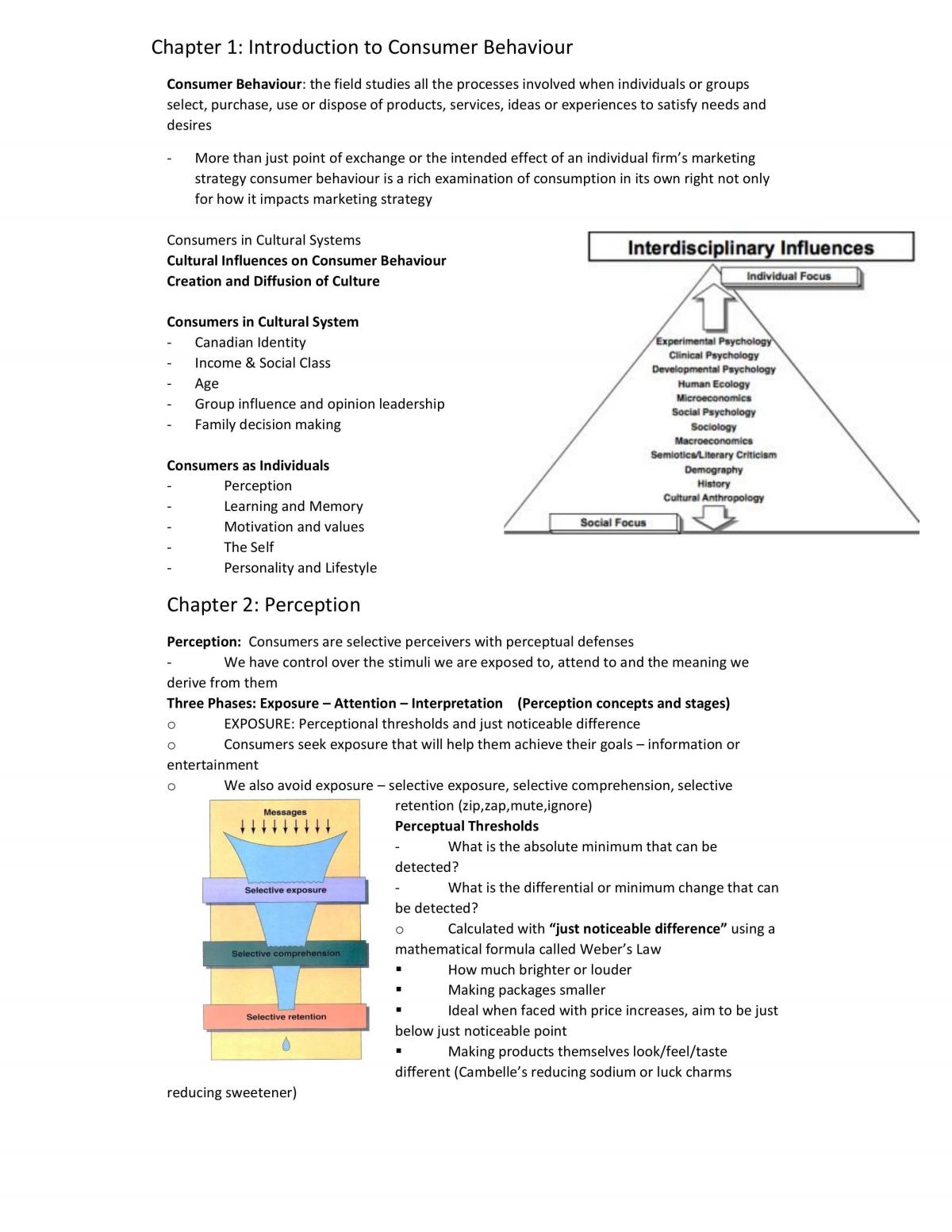 Consumer BehaviourEntire Course Notes - Page 1