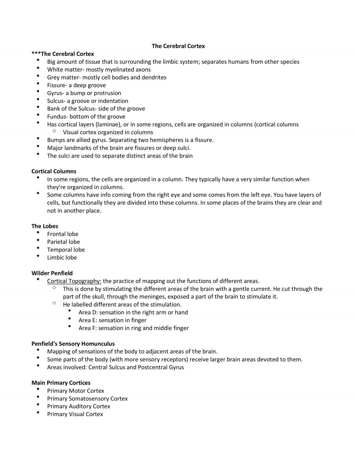 The Cerebral Cortex, Methods, Neurodevelopment, Plasticity, Vision - Page 1