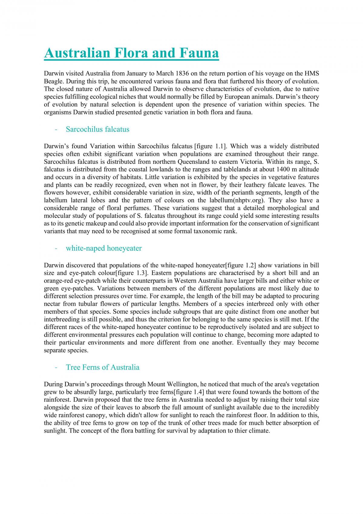 Biology Evolution Report - Page 3