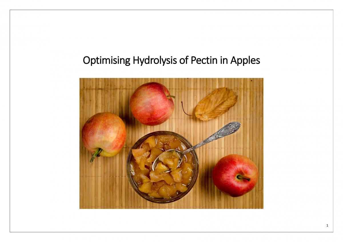 Deconstruct and Design on Optimising Hydrolysis of Pectin in Apples - Page 1