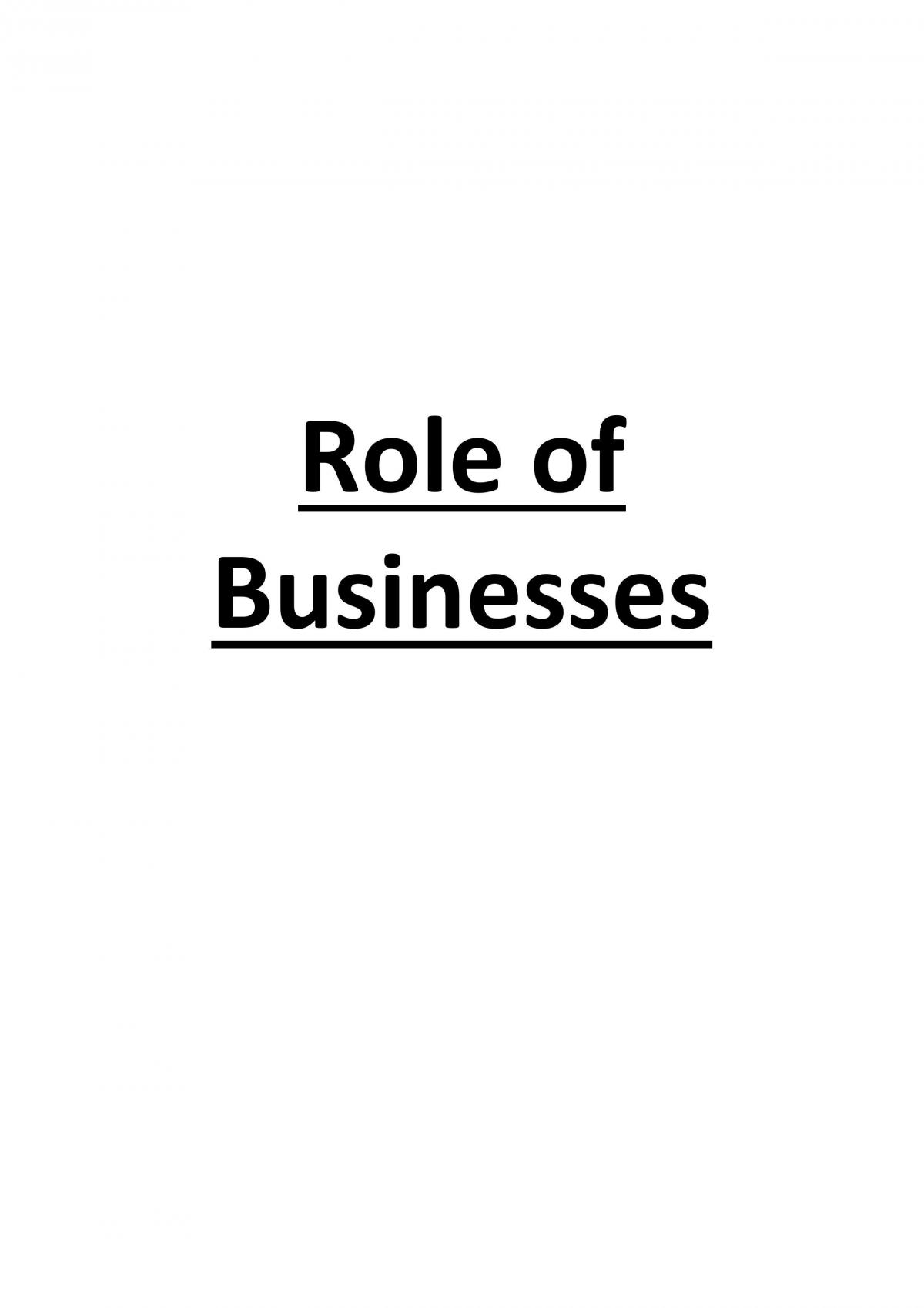 9.1 Nature of Business Notes (Business Studies Year 11) - Page 1