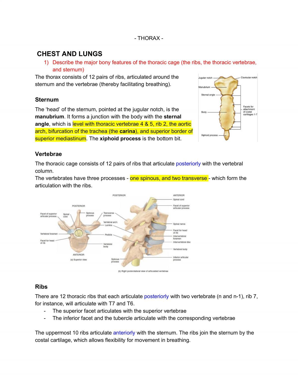 BMS228 - Human Anatomy - Page 1