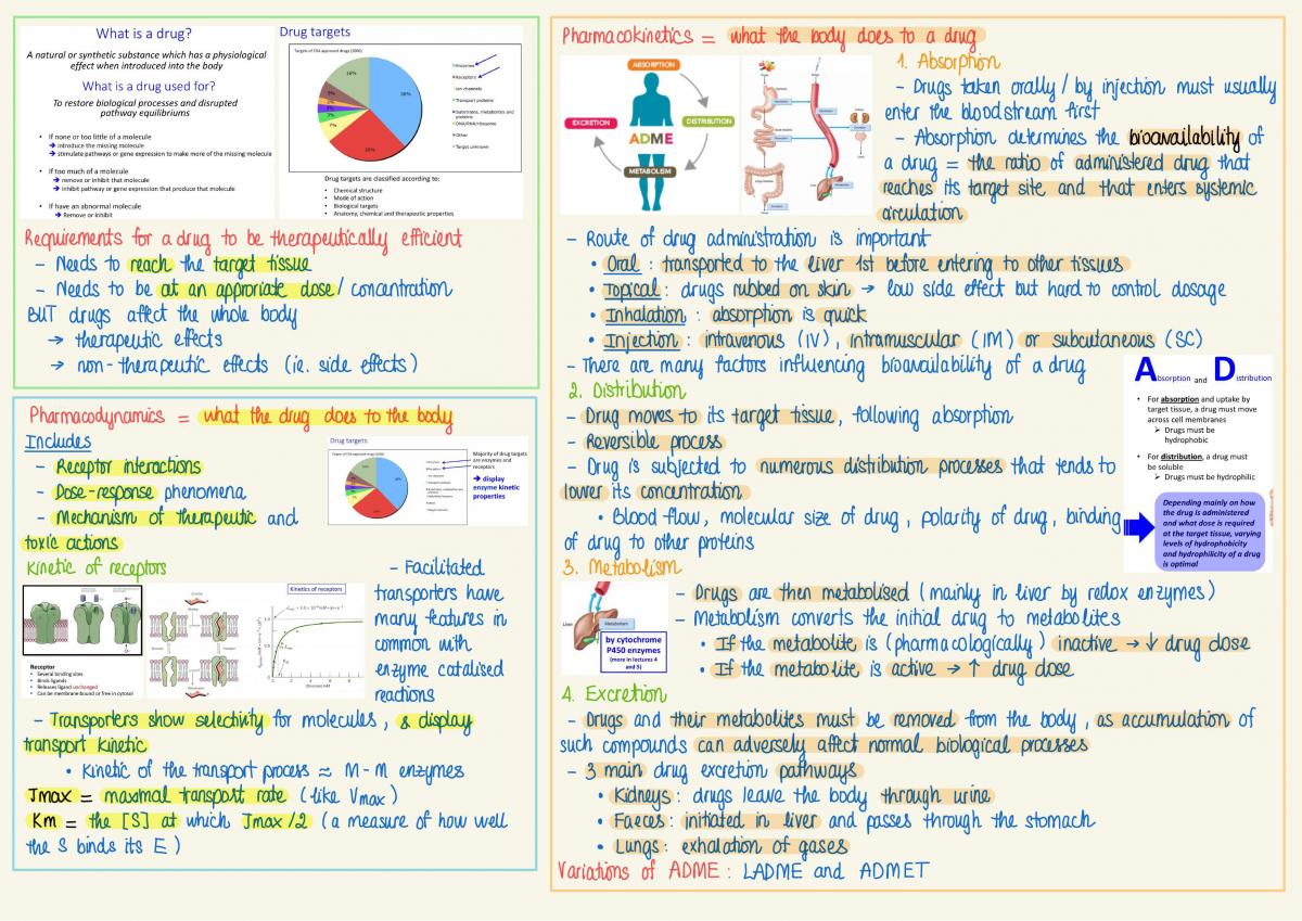 Biochemistry (for BMLSc) Notes (3-24) - Page 2