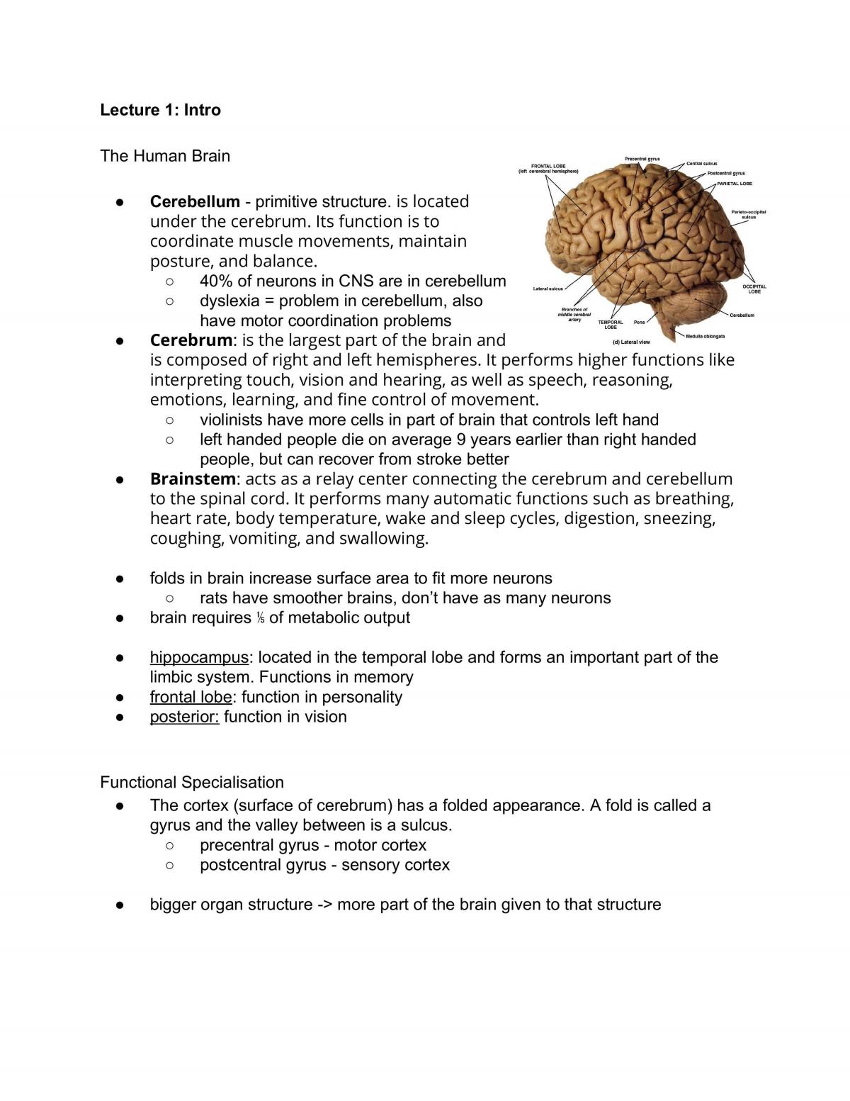 BMS153 - Neuroscience Full Notes - Page 1