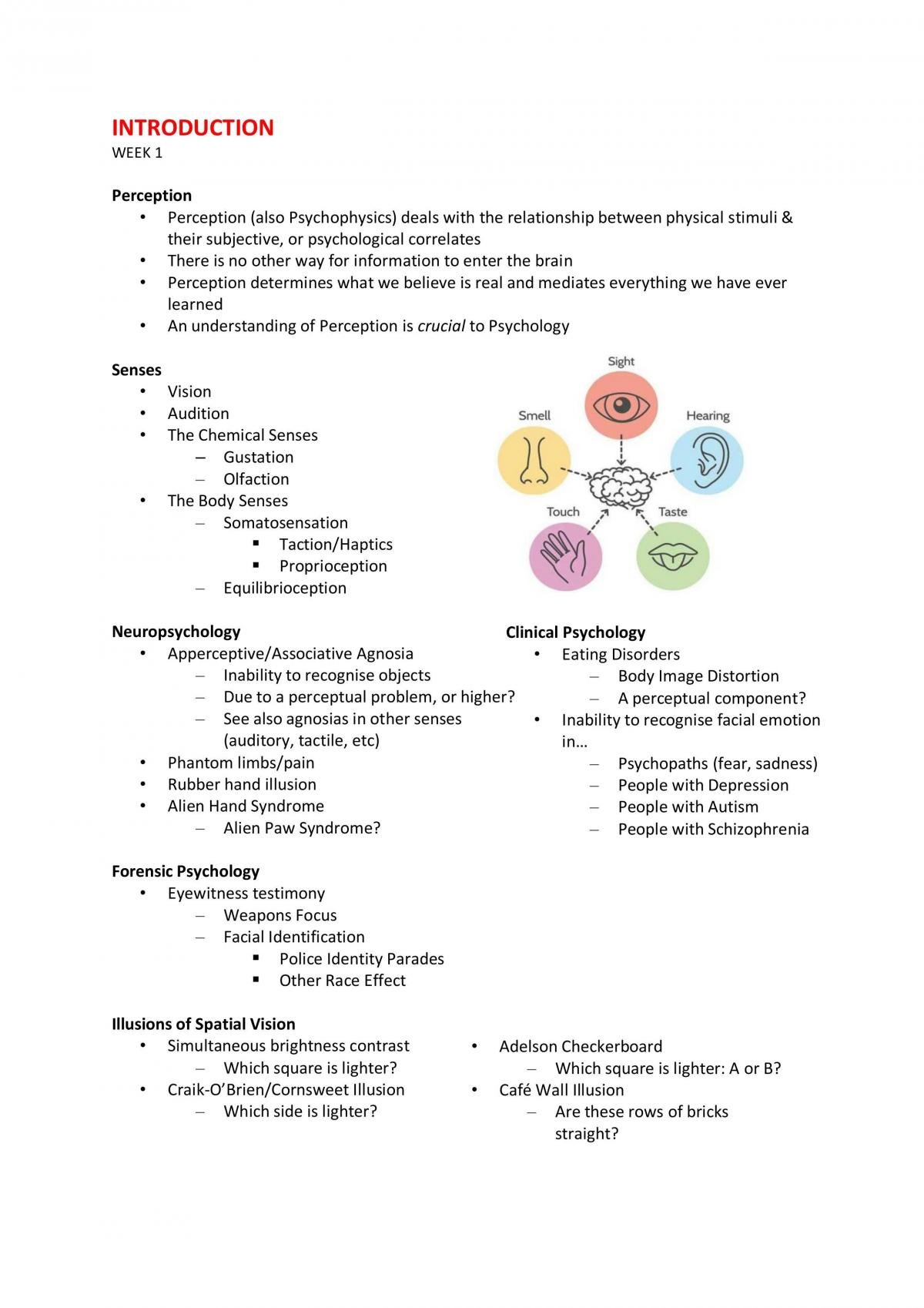 PSYU2247 - Perception Complete Study Notes Wk1-13 - Page 1