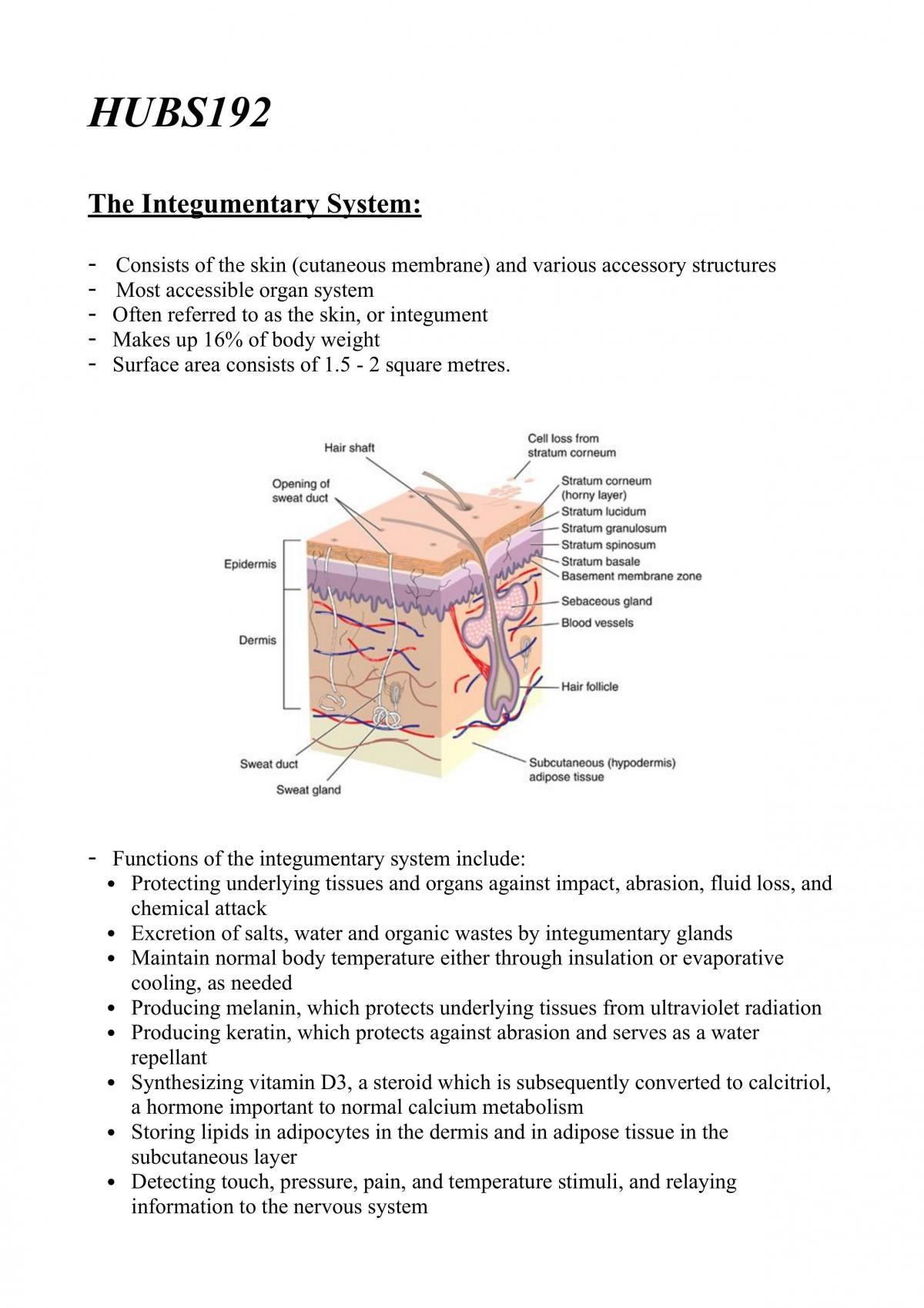 HUBS192 - Complete Study Notes - Page 1