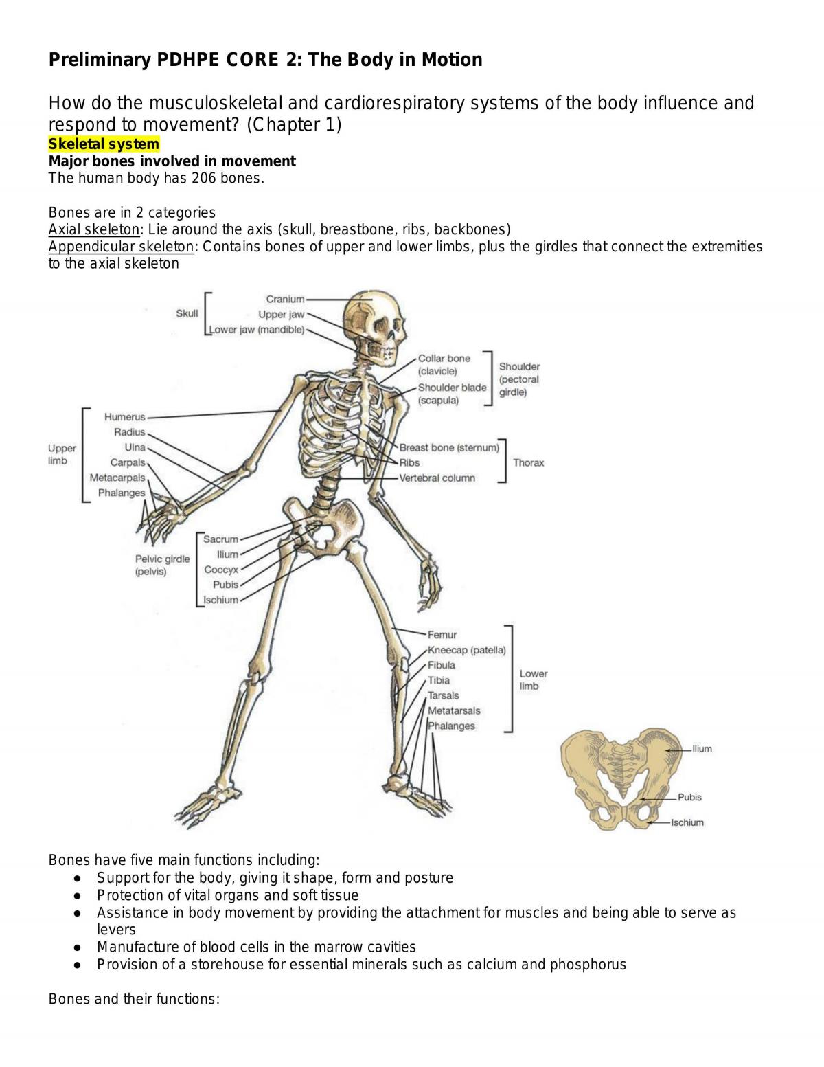 Preliminary PDHPE Core 2: The Body in Motion  - Page 1