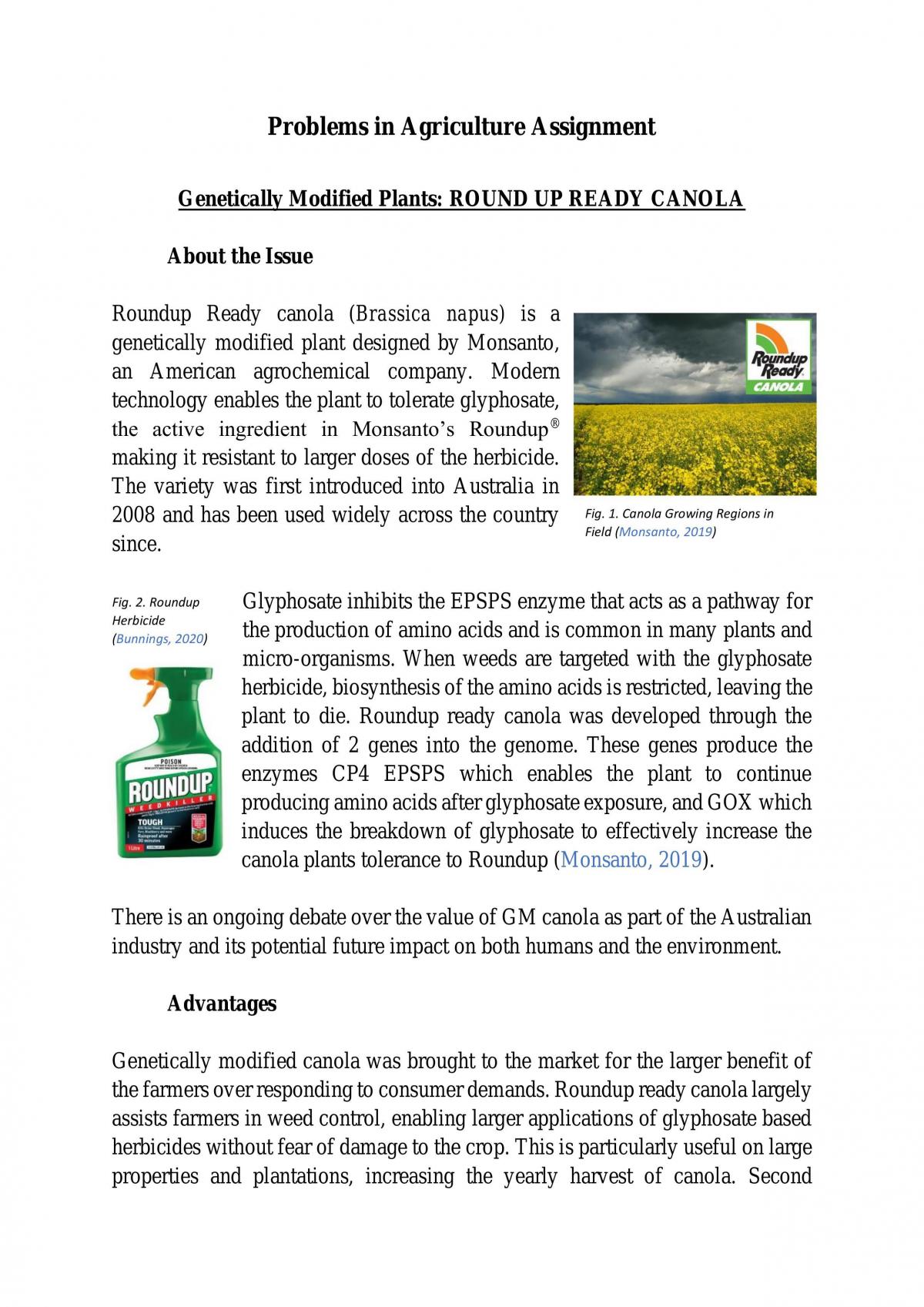 Problems in Agriculture Assignment - Page 1