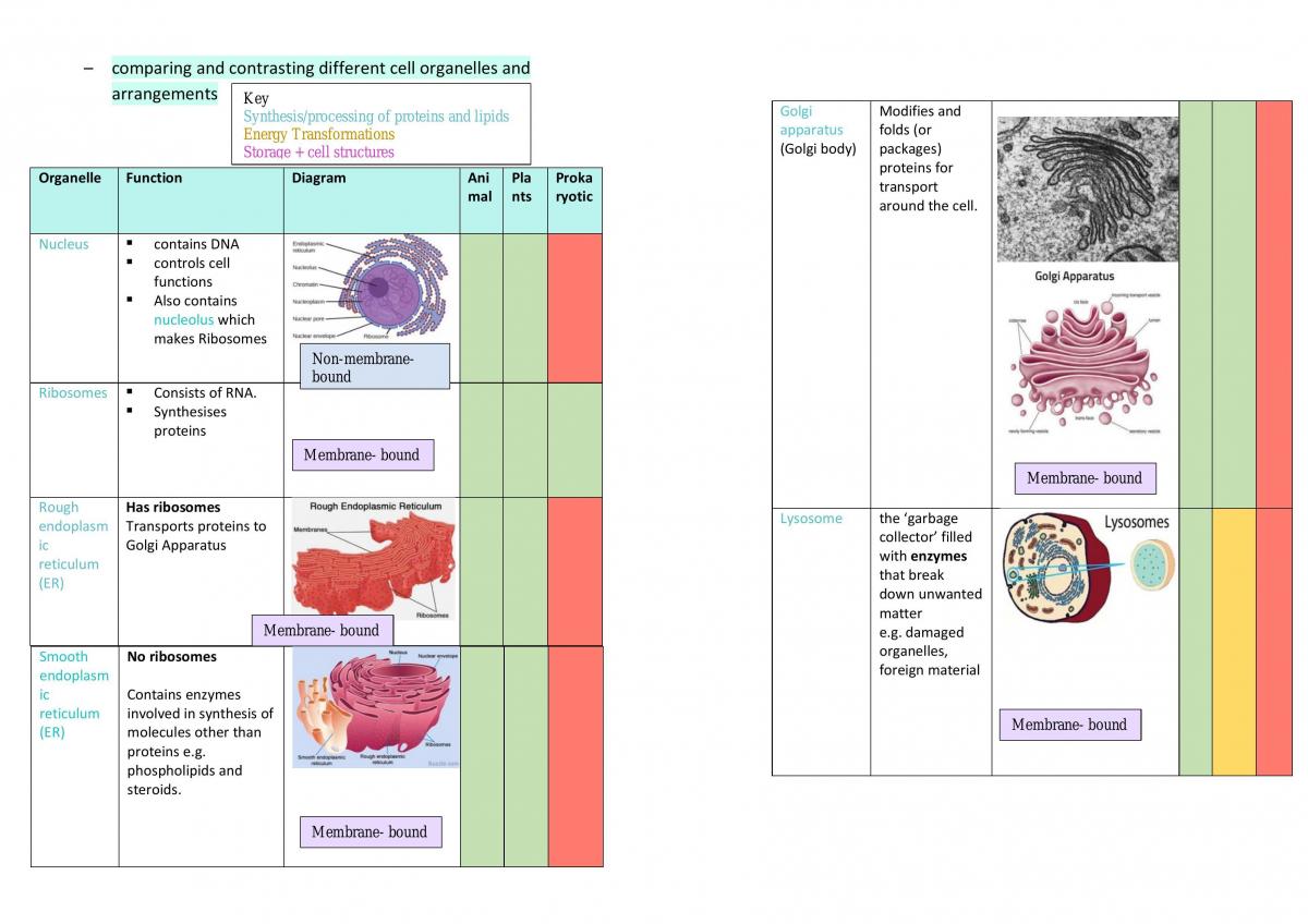 Module 1 Biology notes  - Page 3