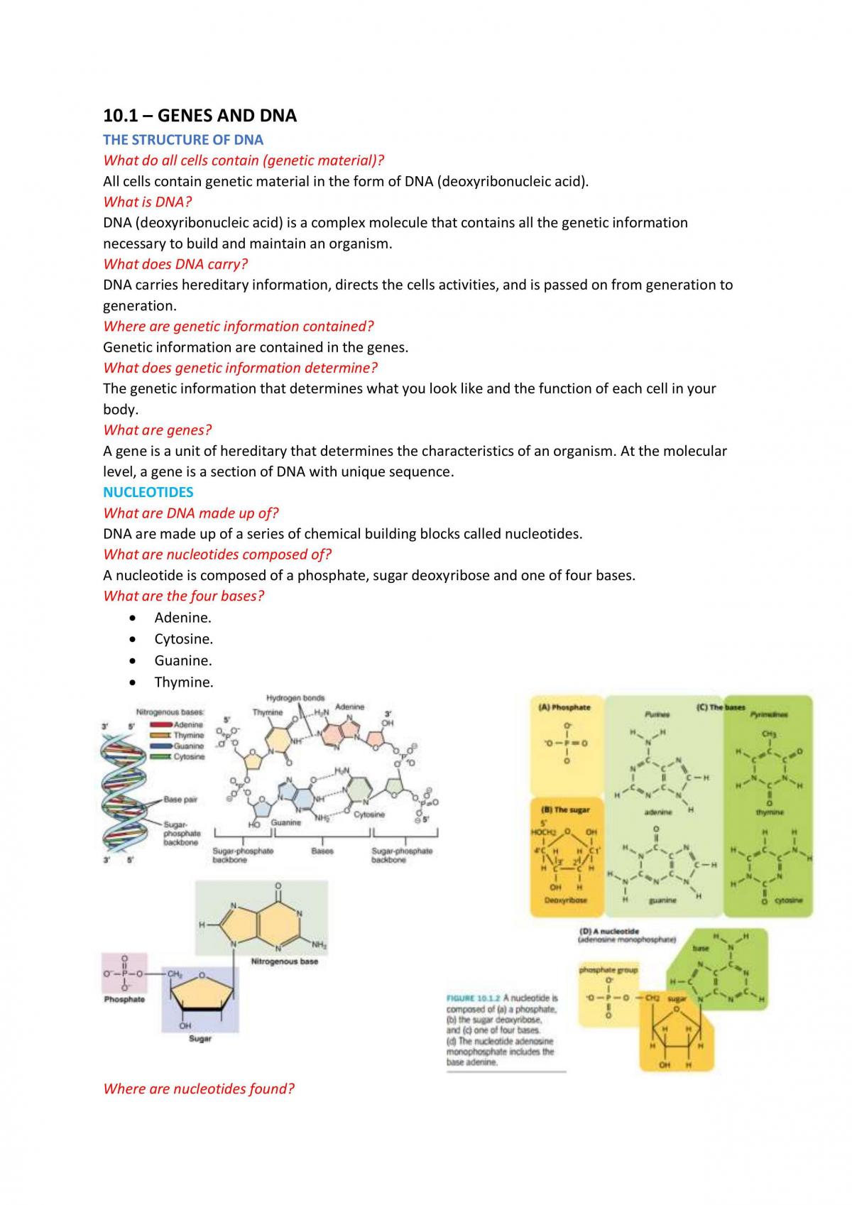 Unit 1&2 Biology Chapter 11 Study Notes - Page 1