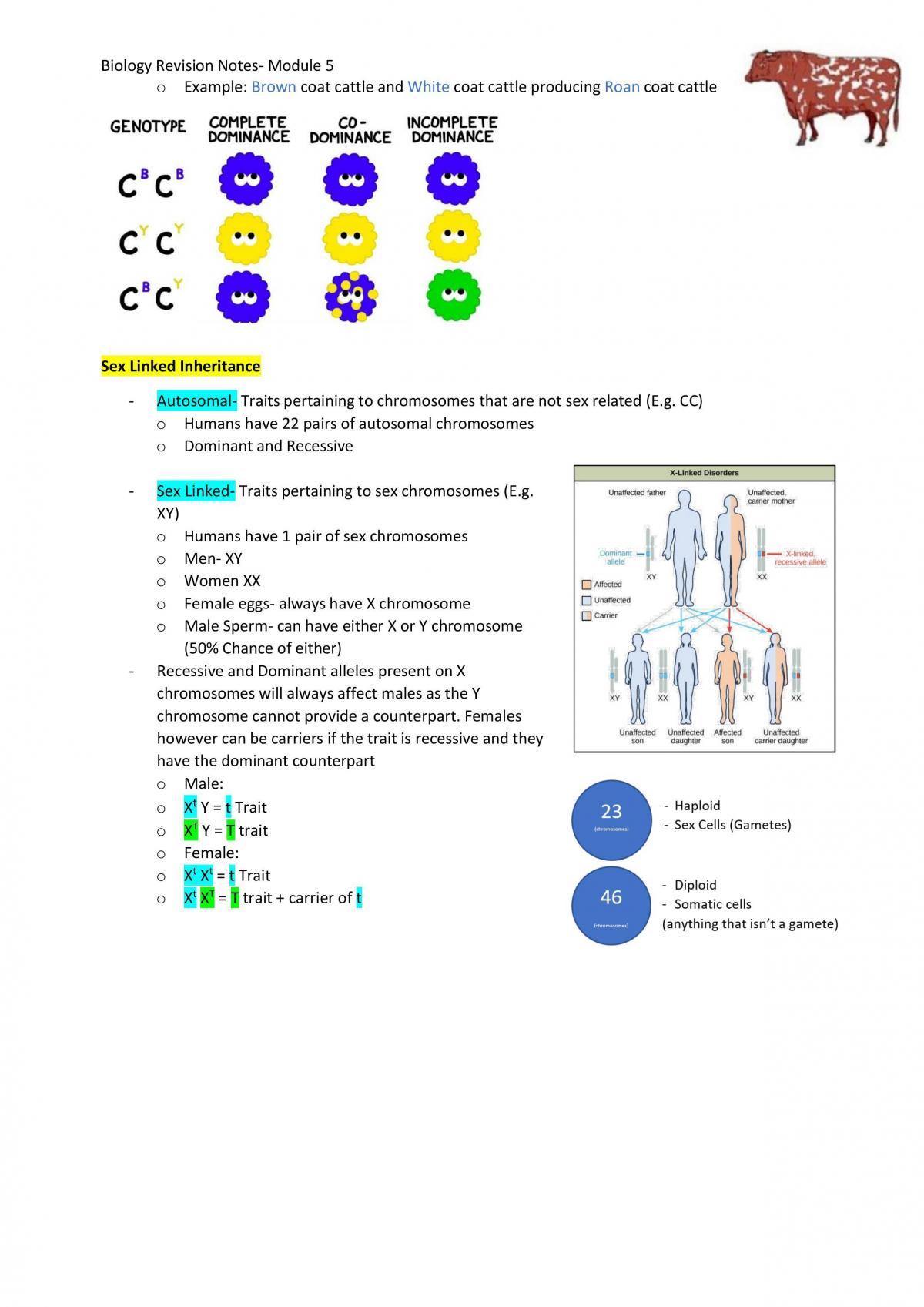 Biology Module 5 (Hereditary) Study Notes 2020 HSC  - Page 8