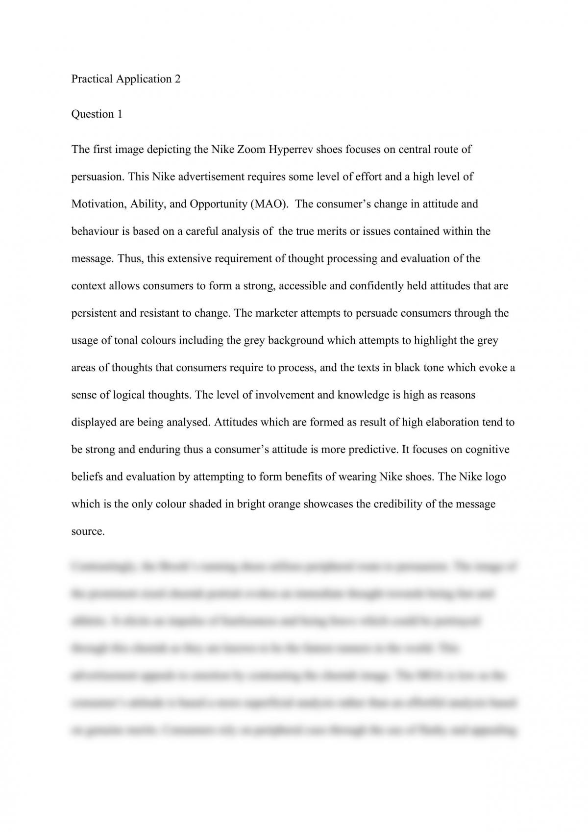 MKF2111 essay assignment of practical application 2 HD - Page 1