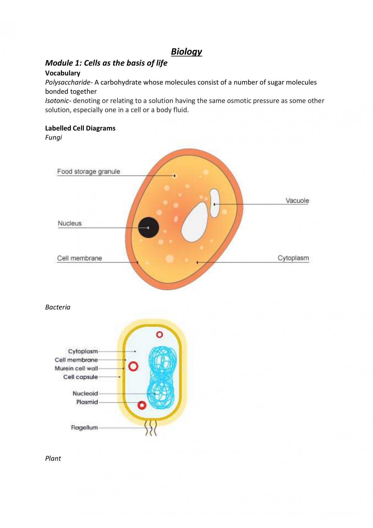 Year 11 Biology Study Notes - Page 1