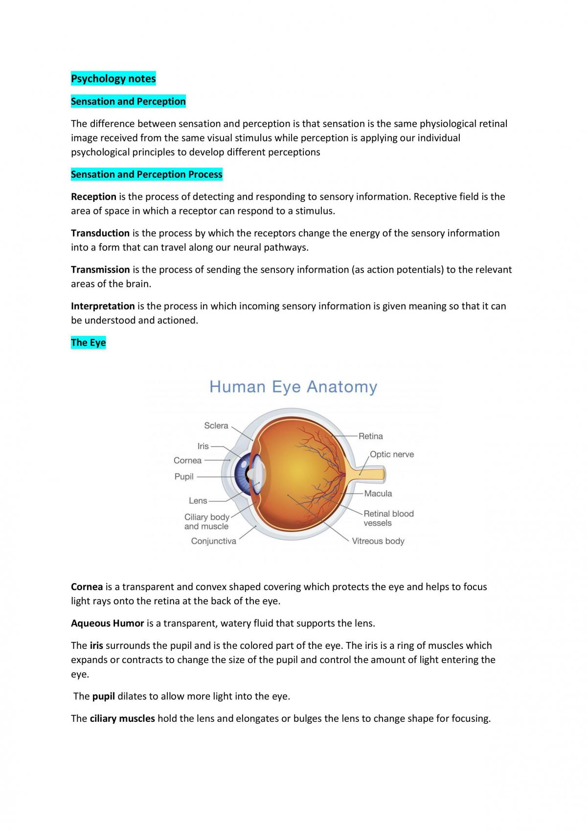 Psychology Unit 2 Summary Notes - Page 1