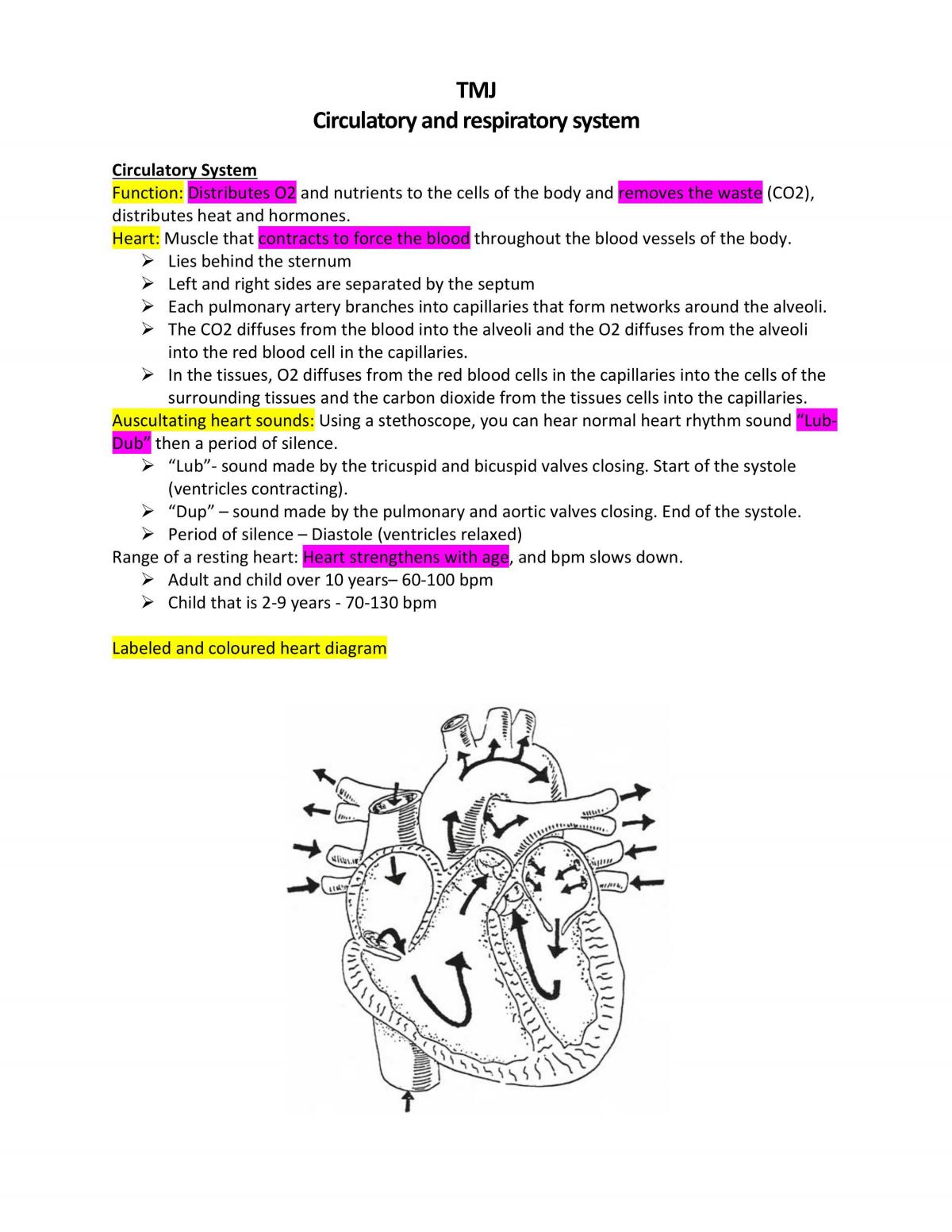 Health Care Study Notes - Page 1