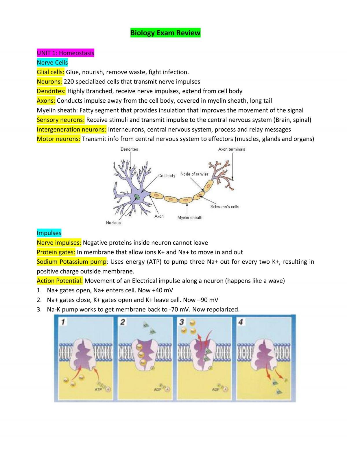 Biology Complete Notes - Page 1