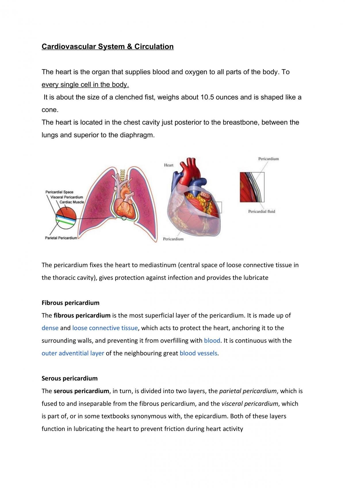 Cardiovascular System - Page 1