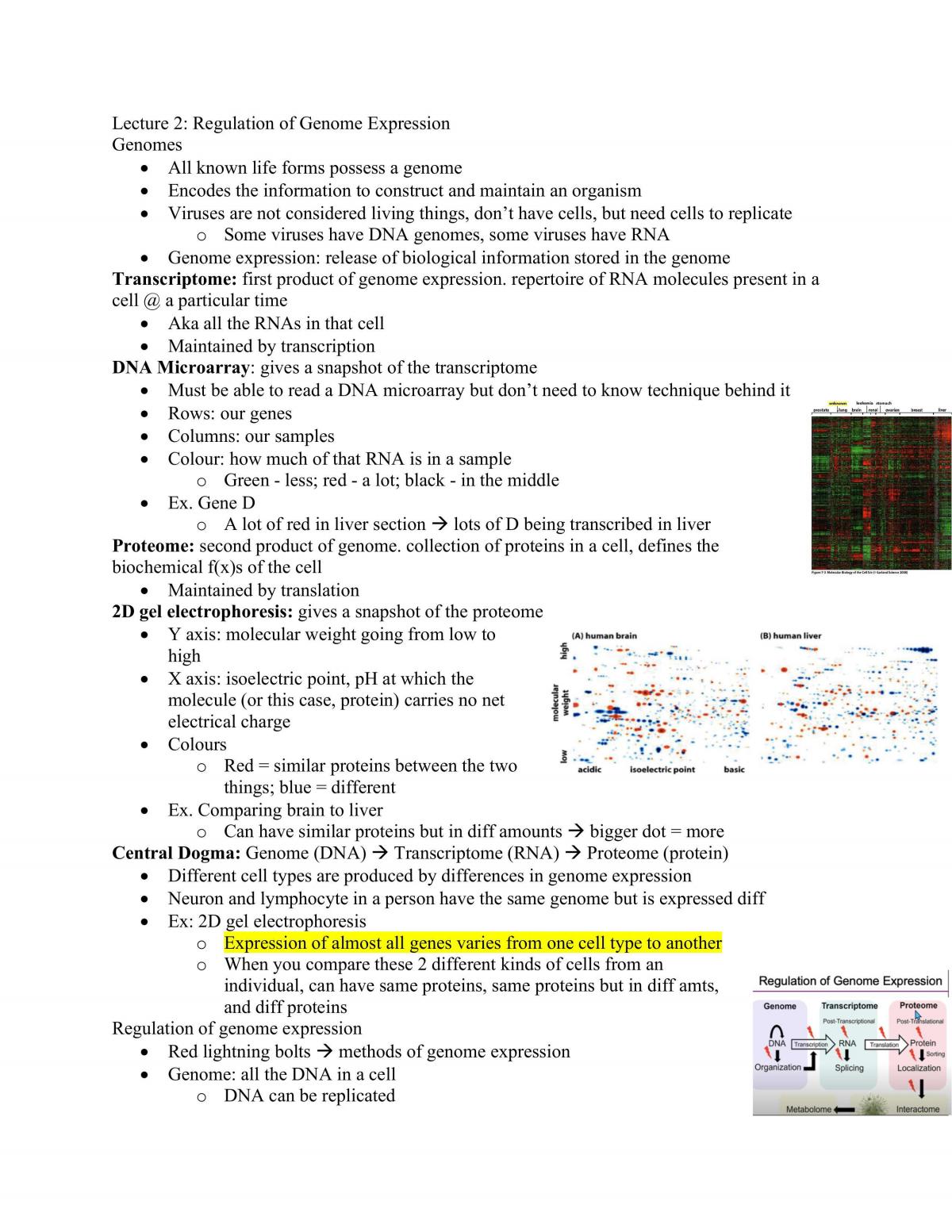 BIO230 Complete Study Notes (entire semester) - Page 2
