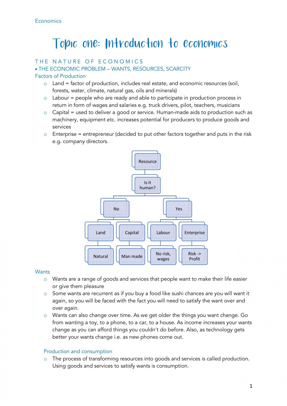 Complete Economics Study Notes Year 11 - Page 1