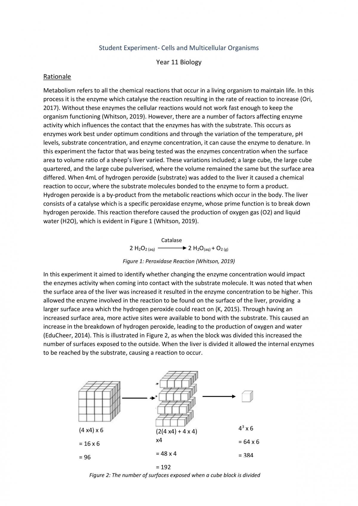 Cells and Multicellular Organisms - Page 1