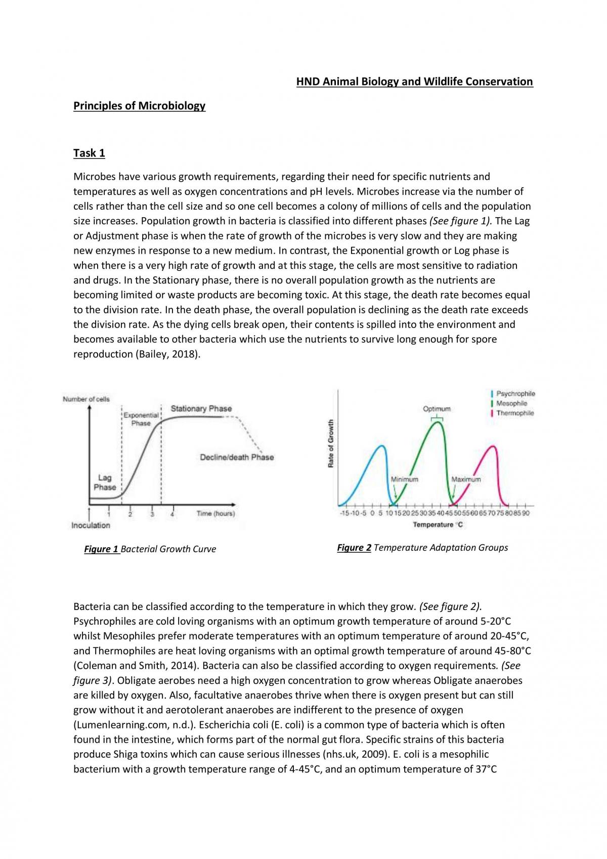 Principles of Microbiology Essay - Page 1
