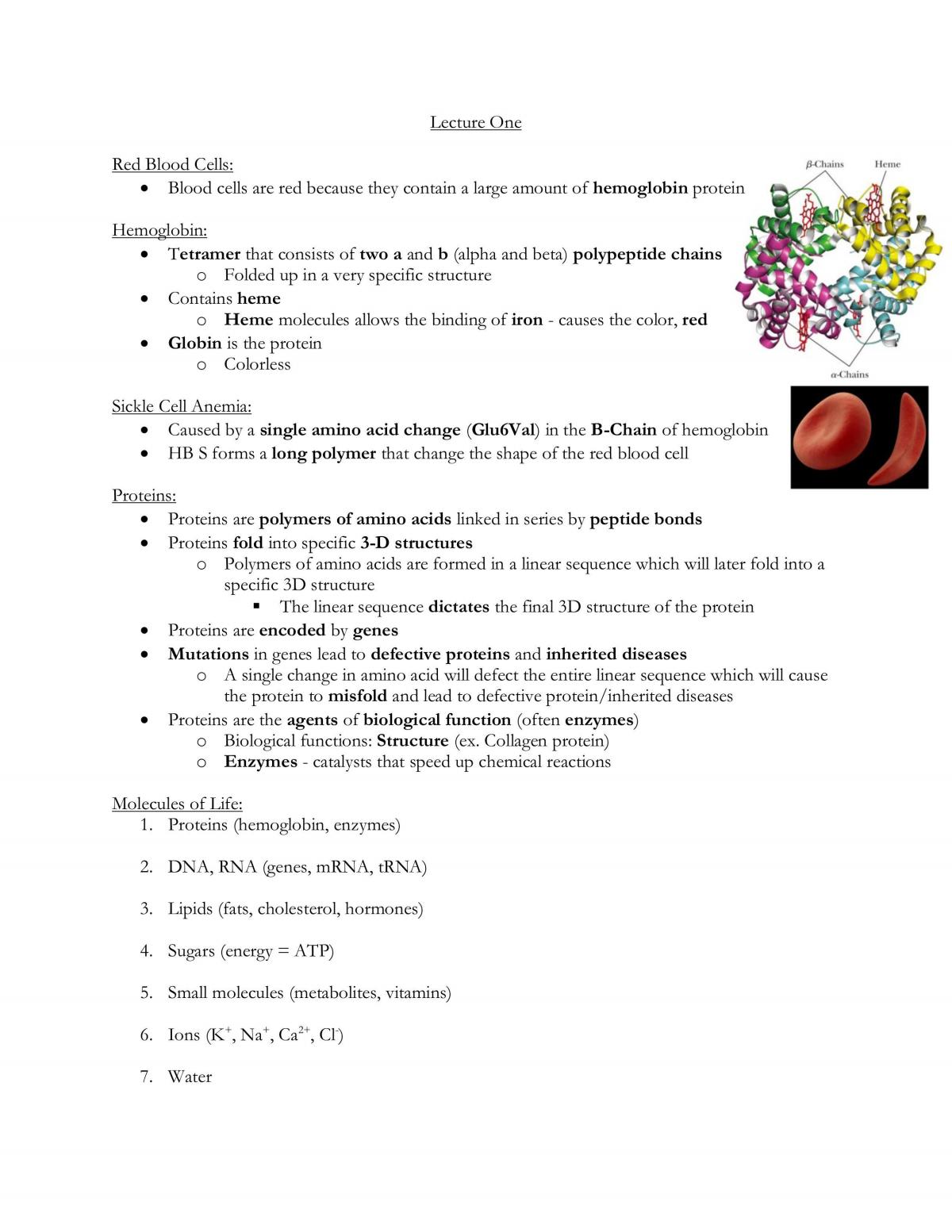 BCH210 Comprehensive Study Guide - Page 1