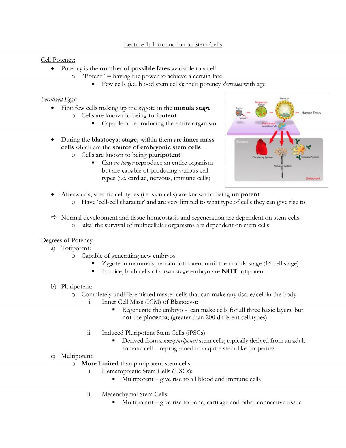 Stem Cell Biology: Developmental Models and Cell-based Therapeutics Comprehensive Study Guide - Page 1