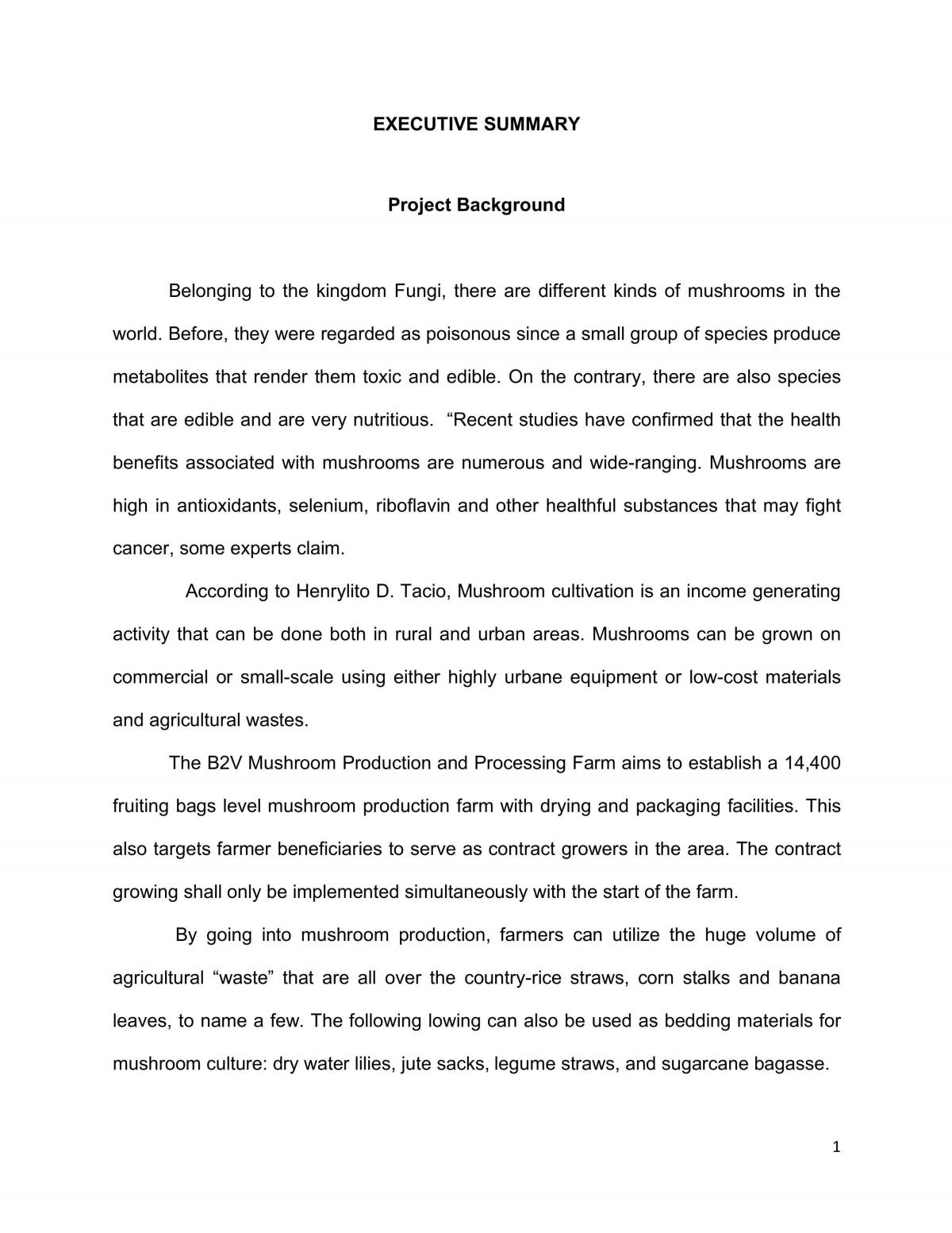 Sample feasibility study - Page 1