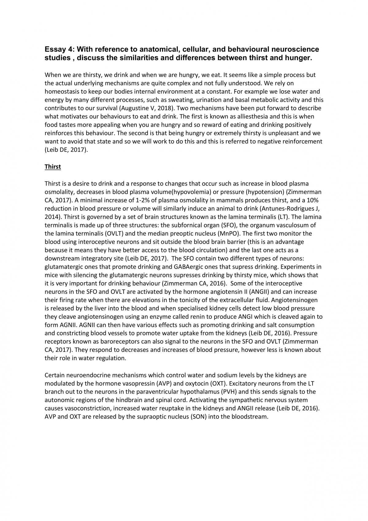Coursework Essay on dendritic spines - Page 1