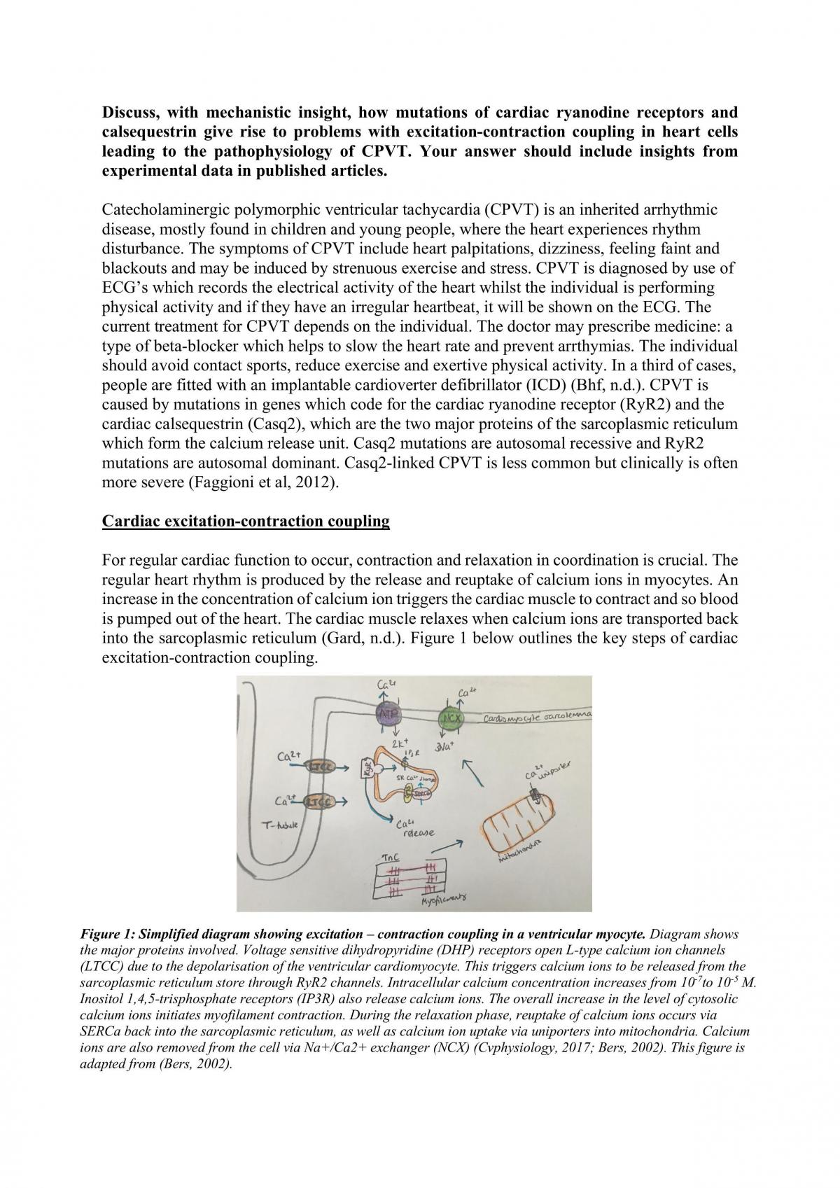 Coursework essay - Page 1