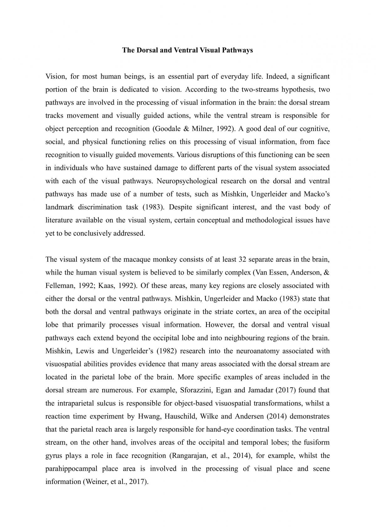 The Dorsal and Ventral Visual Pathways - Page 1