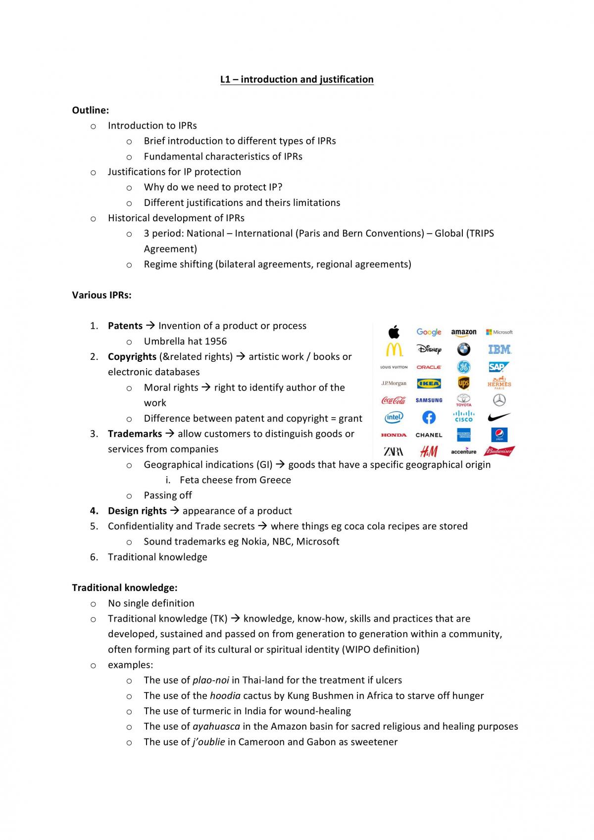 Intellectual Property Notes - Page 1
