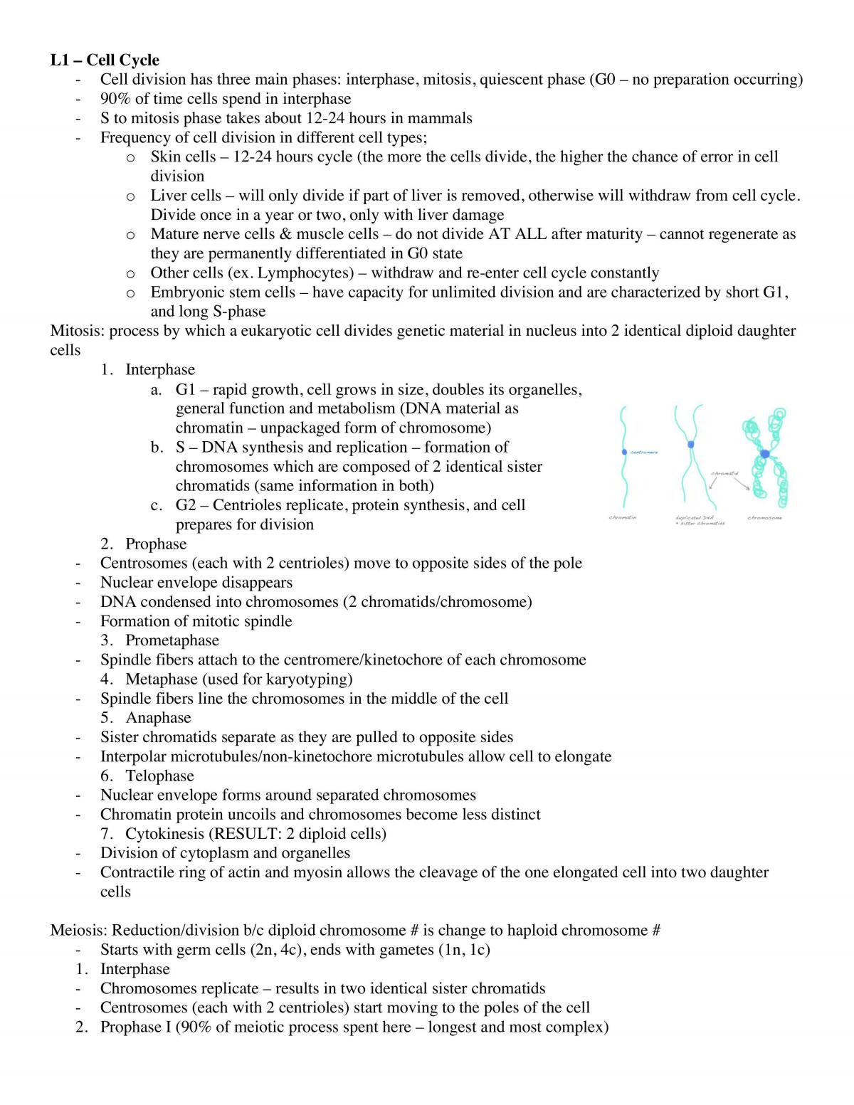 Genes, Gametes & Embryos Notes - Page 1
