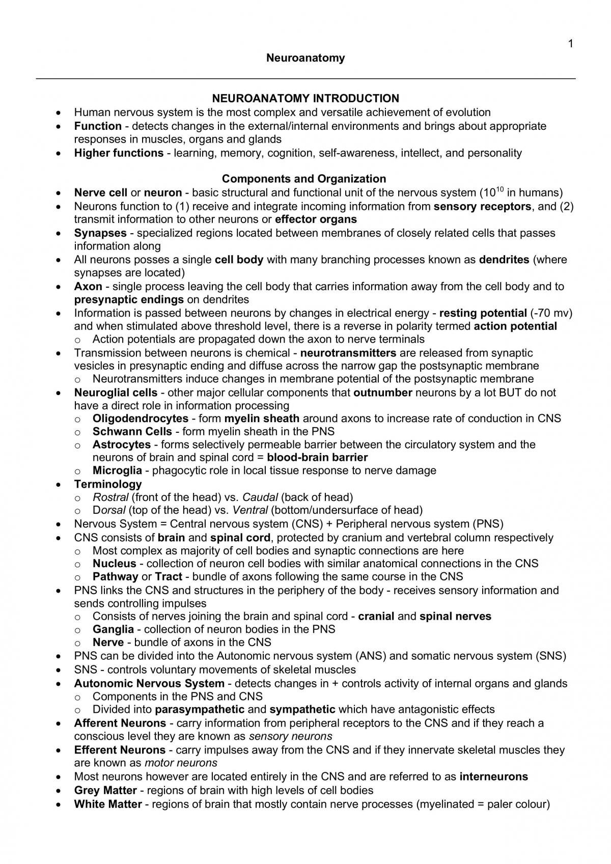 Neuroanatomy Notes - Page 1