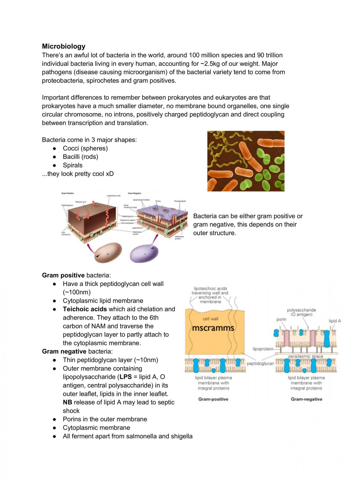 Infection and Immunity Notes - Page 1