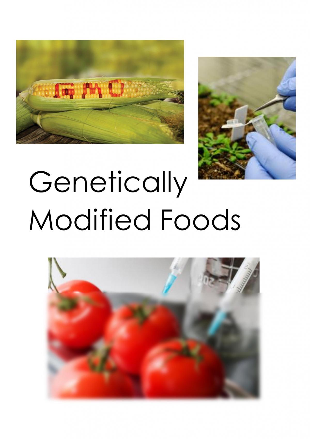 genetically modified products essay