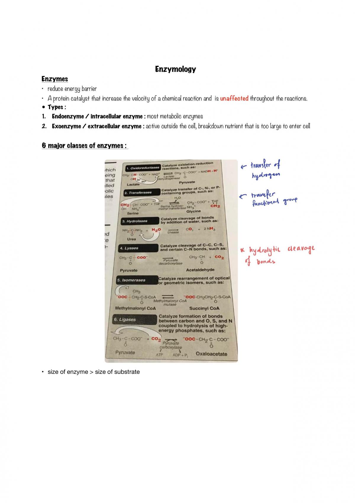 Basic Medical Sciences: Biochemistry Notes - Page 1