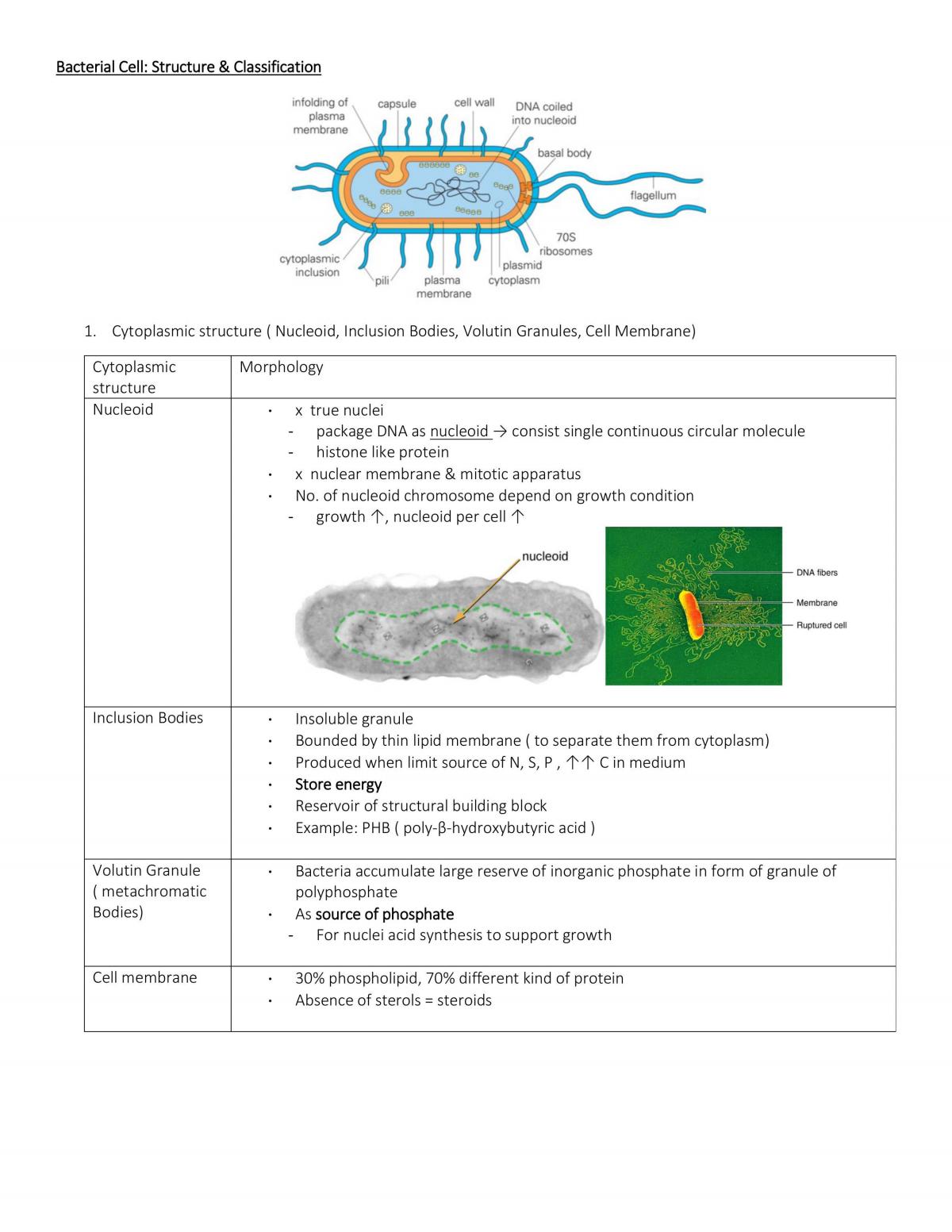 Basic Microbiology  - Page 1