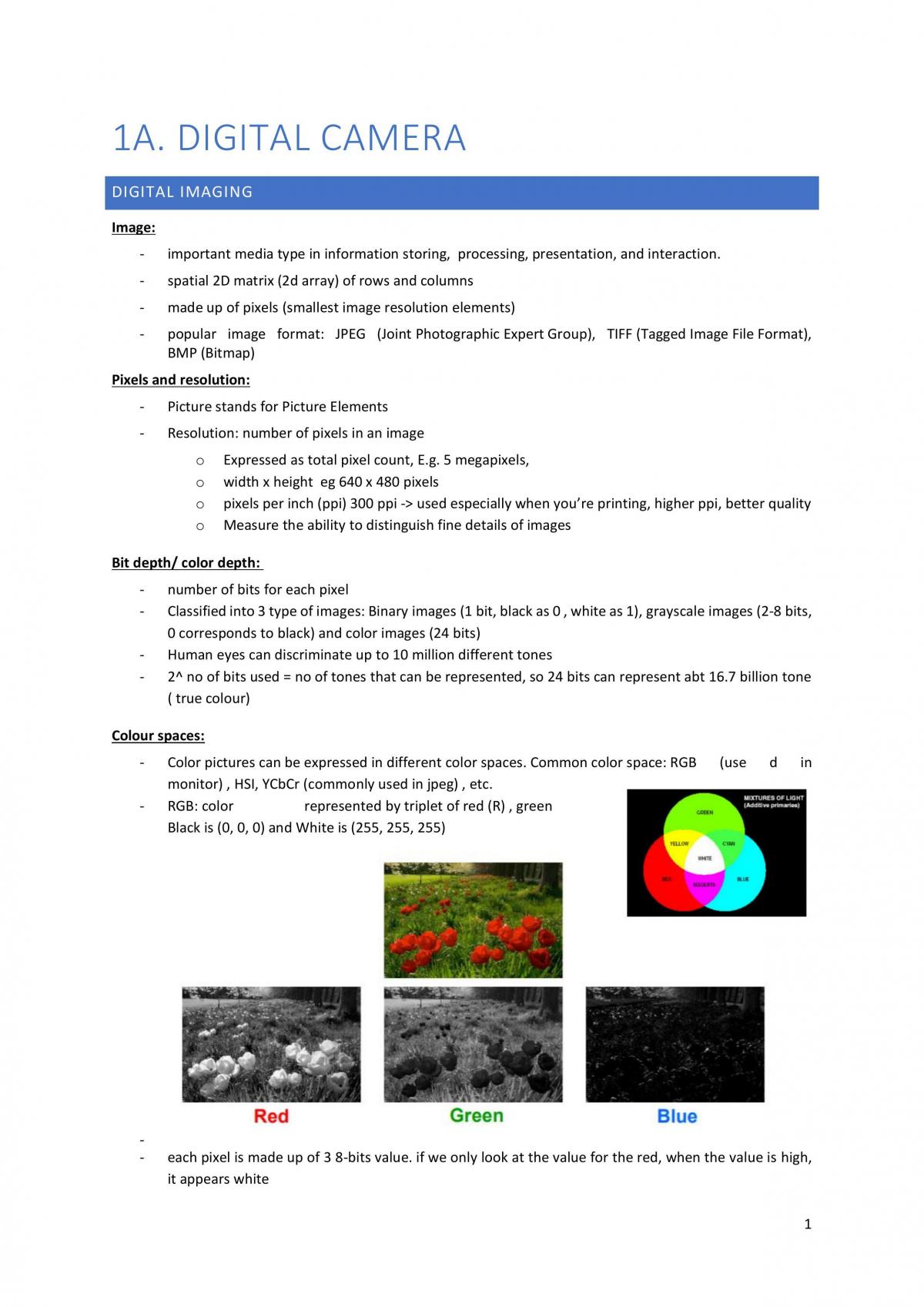 Digital Lifestyle Notes - Page 1