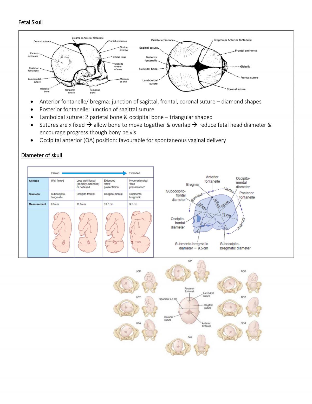 Basic Obstetrics  - Page 8