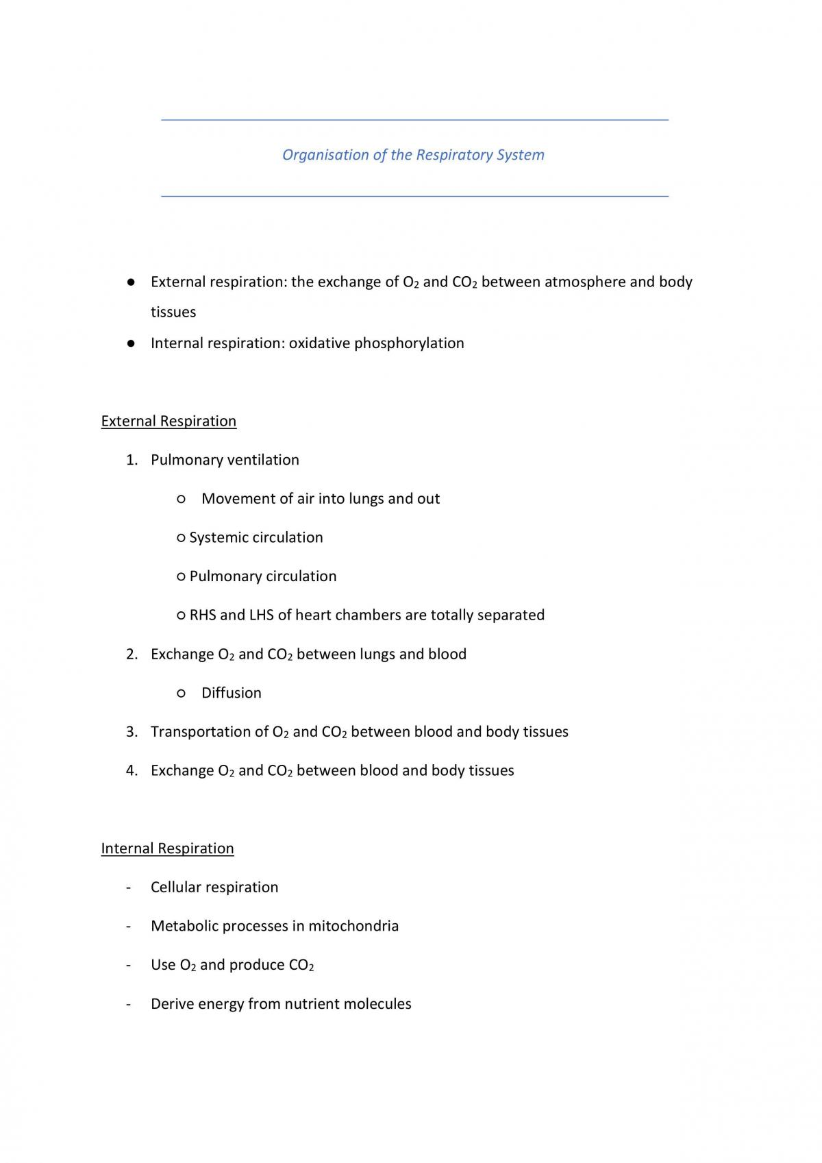 Respiratory System Notes - Page 1