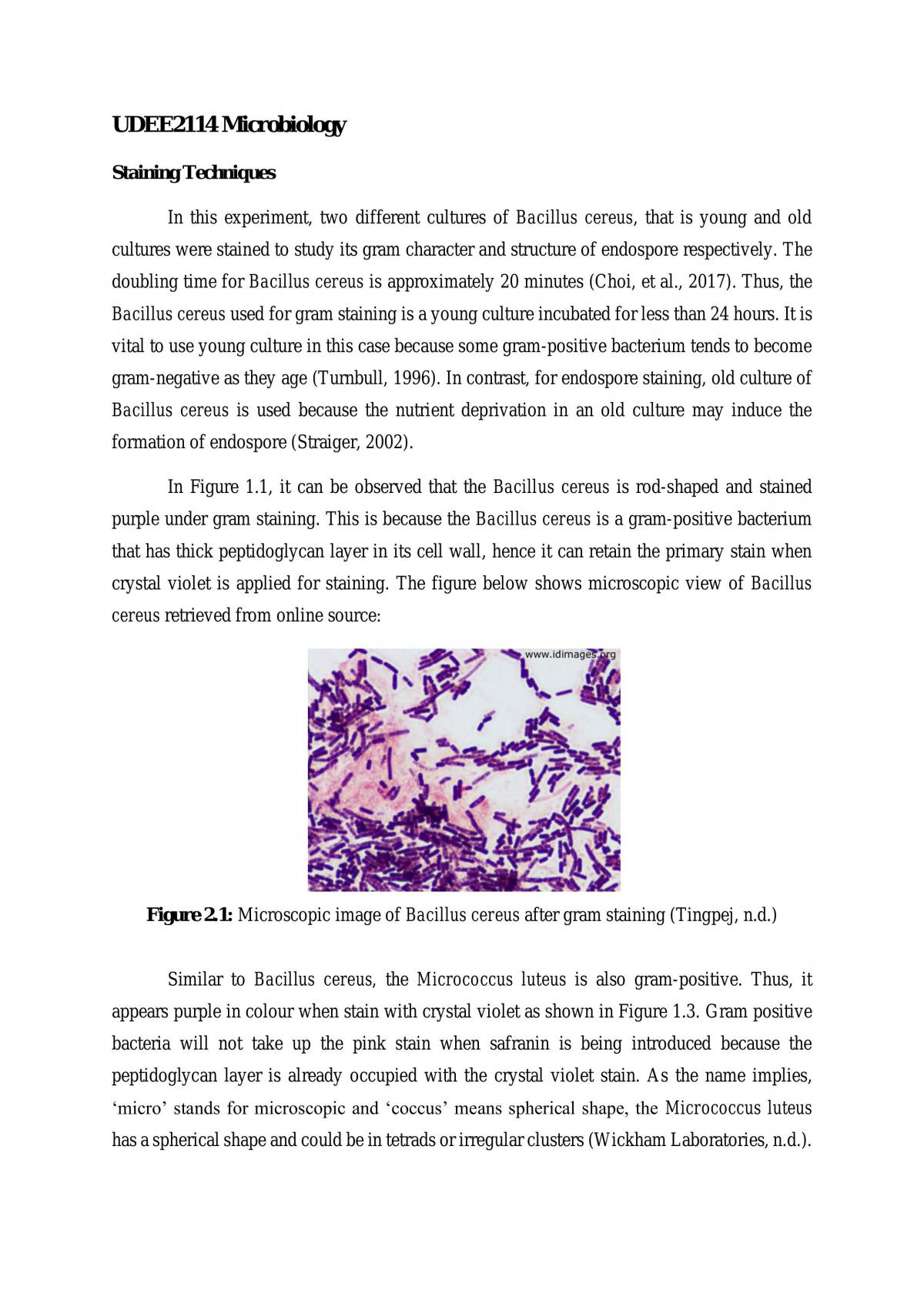 Staining Techniques Report - Page 1