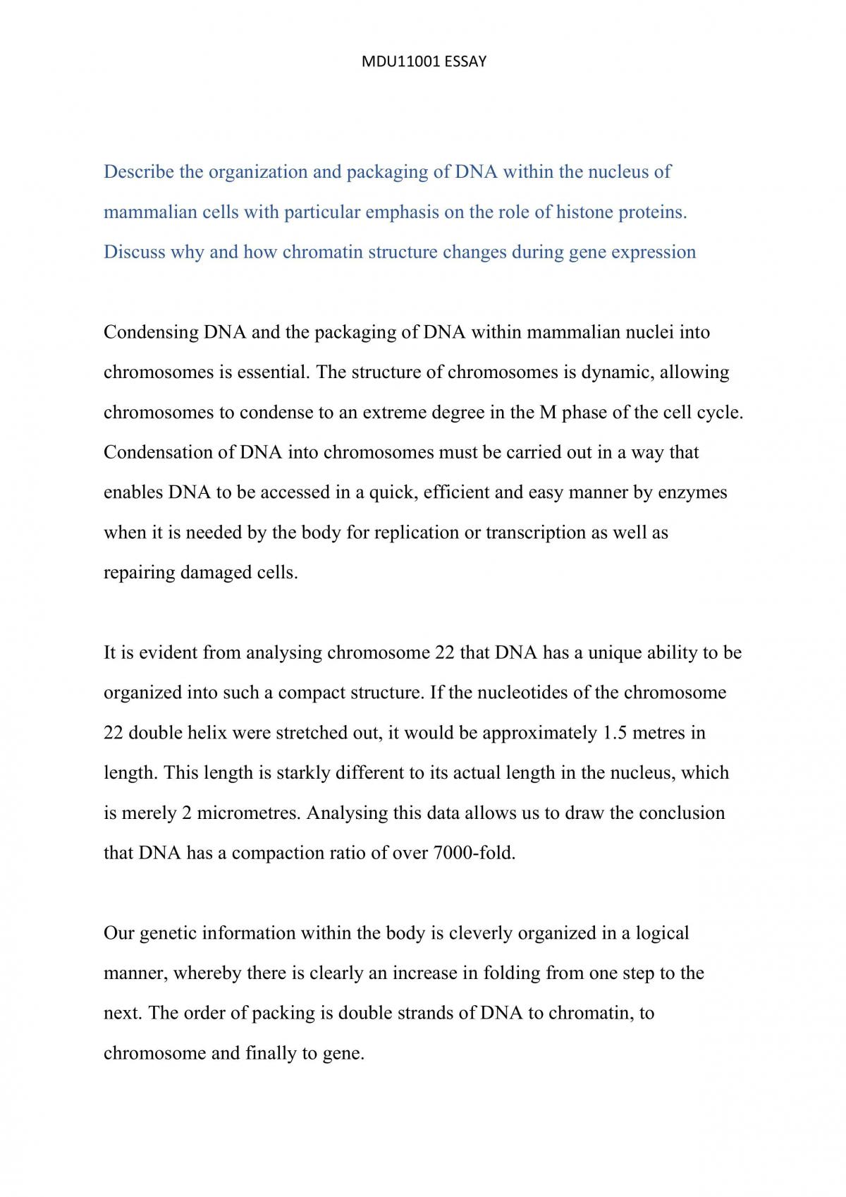 DNA Organization - Page 1