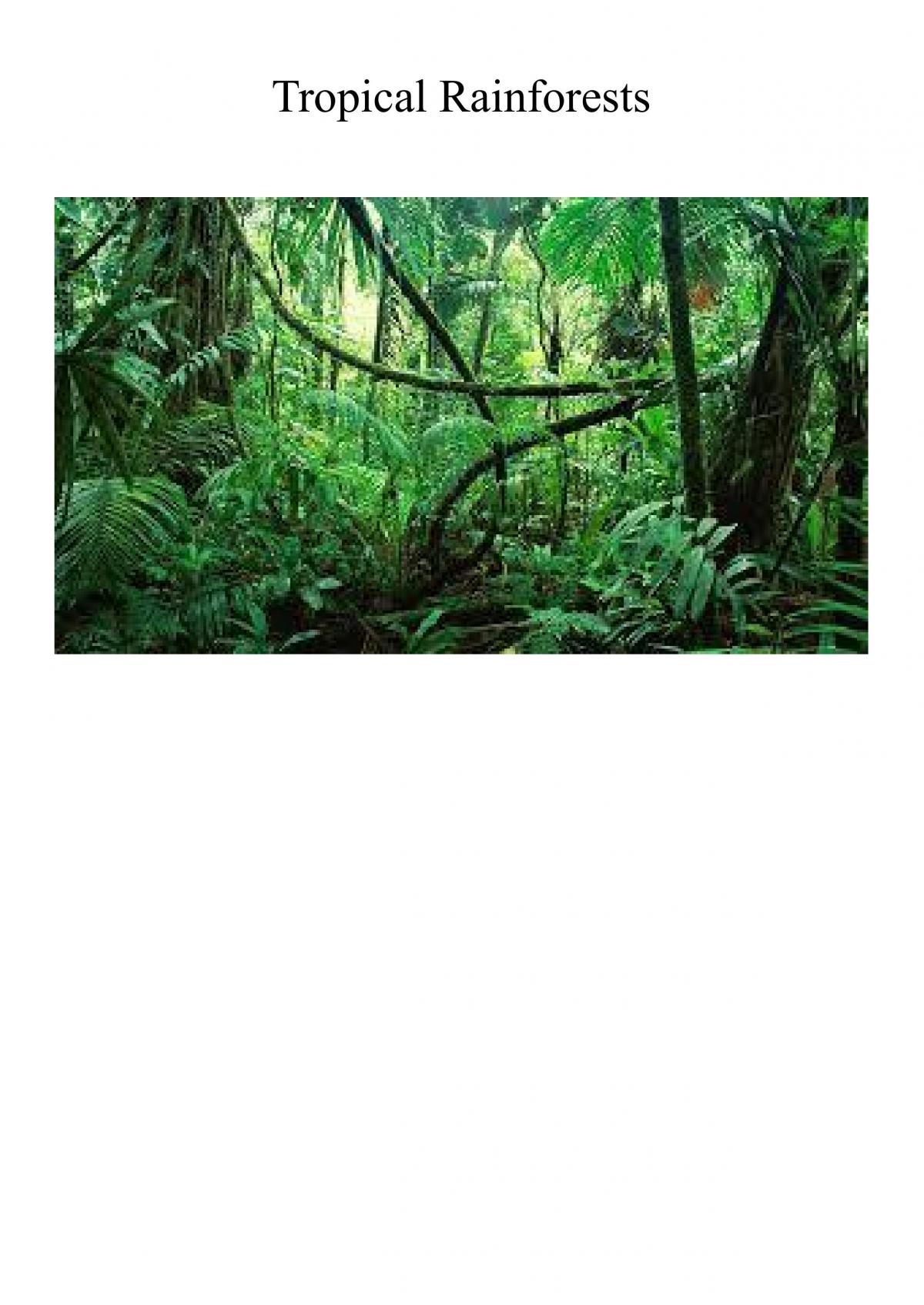 Tropical Rainforests  - Page 1