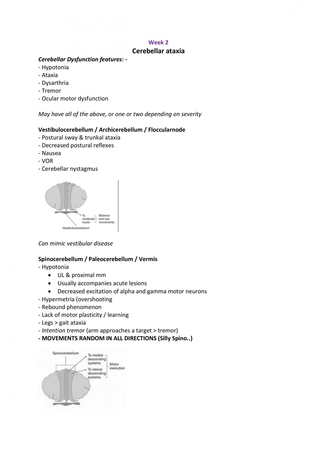 Comprehensive Ax & Rx Study Notes - Page 1