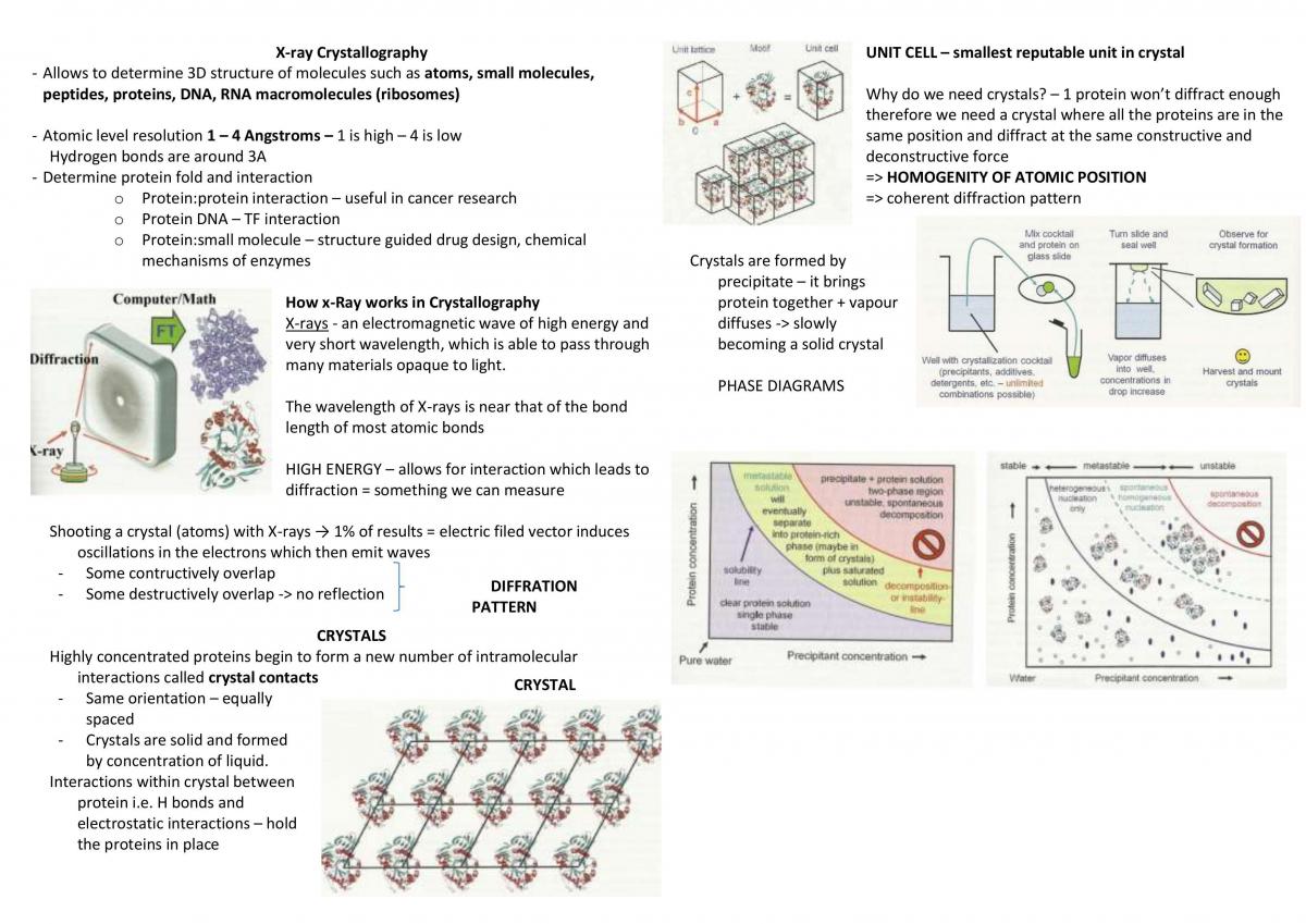 Biochemistry Notes Part 1 - Page 1