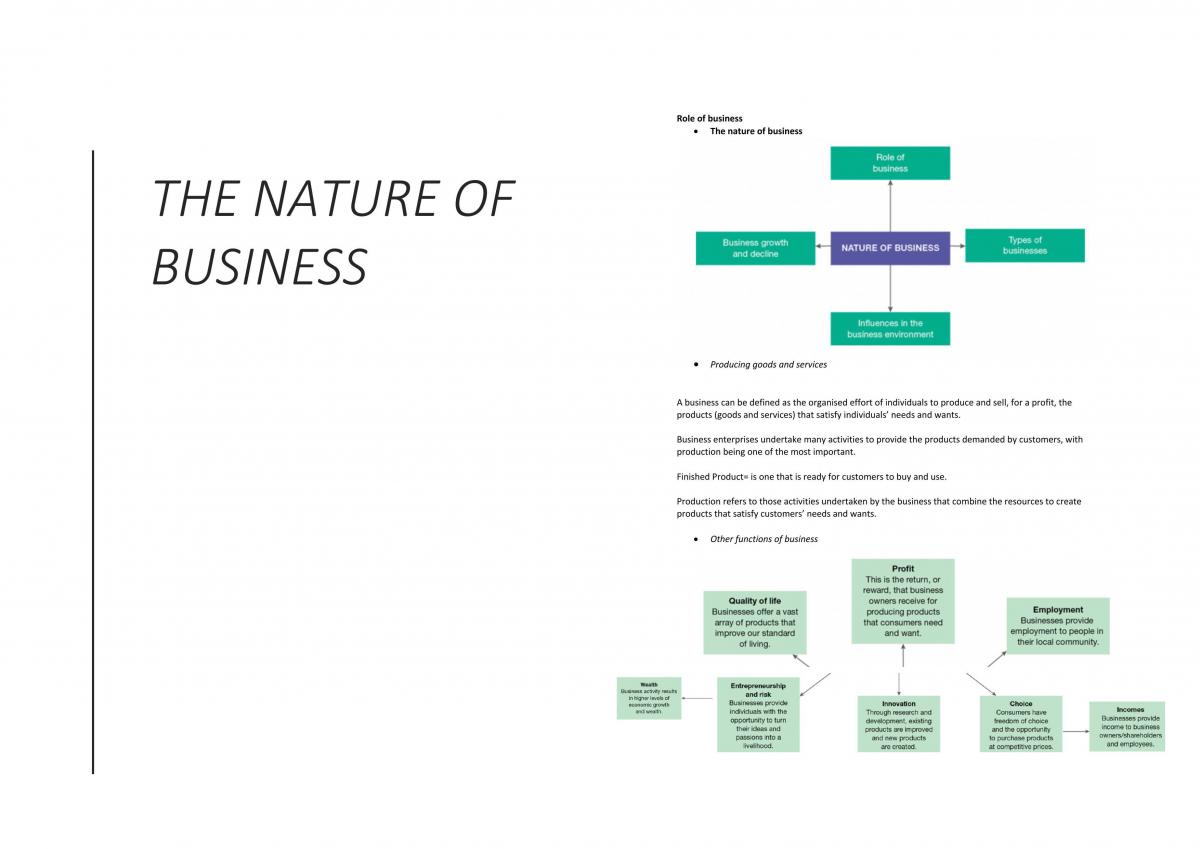 Business Studies Study Notes for First Topic - Page 1