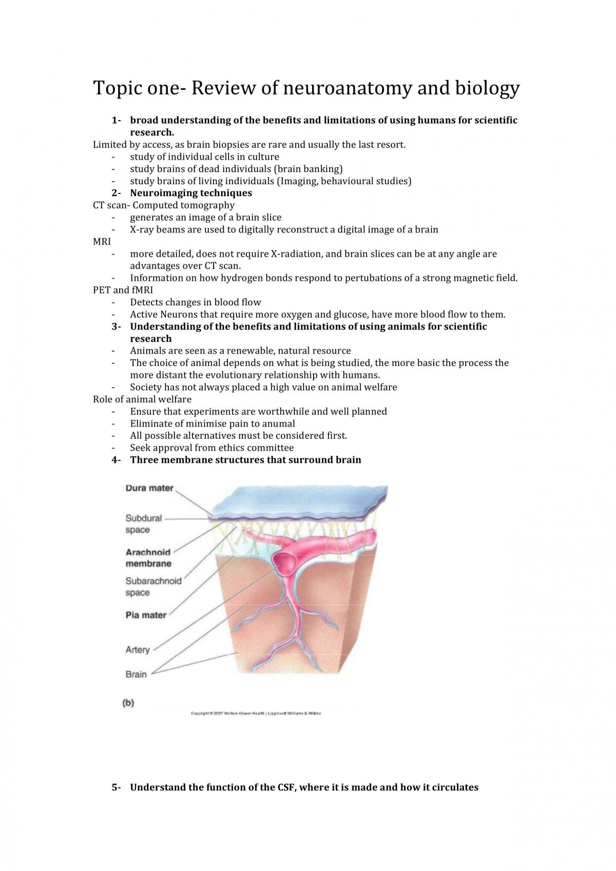 Neurobiology Exam Notes - Page 1