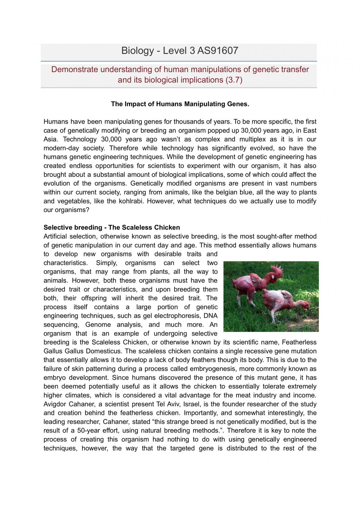 AS91607  - Page 1
